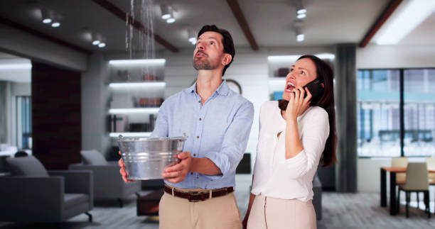 Best Ceiling water damage repair  in Winton, CA